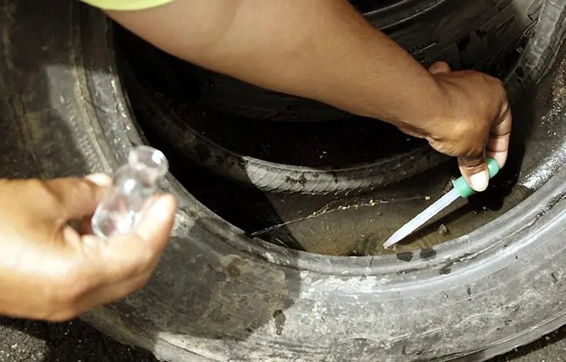 SC confirma 232 casos de dengue