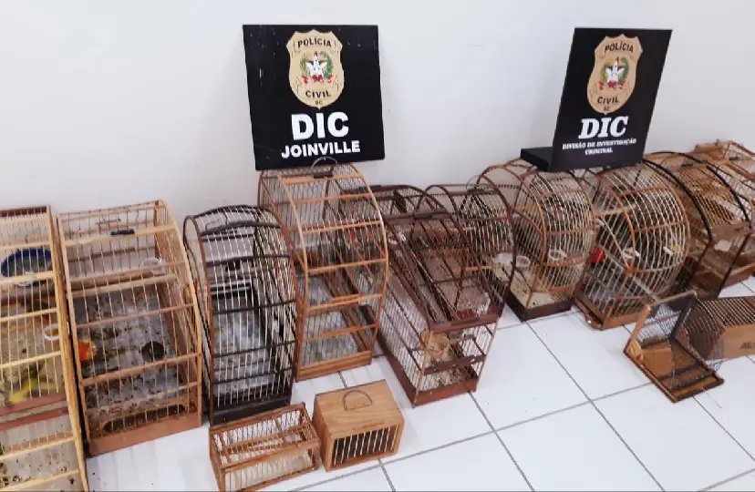 Pol&iacute;cia Civil apreende animais silvestres e indica suspeito por crimes