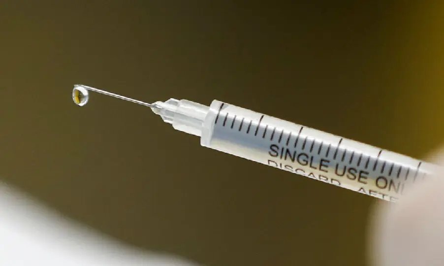 Brasil vai buscar 2 milh&otilde;es de doses de vacina na &Iacute;ndia