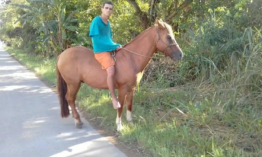 Foragido de presídio é localizado na BR 470 algemado e em cima de um cavalo roubado