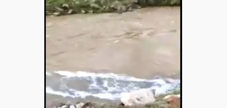 (V&Iacute;DEO) Internauta flagra espuma e &aacute;gua escura despejadas no rio