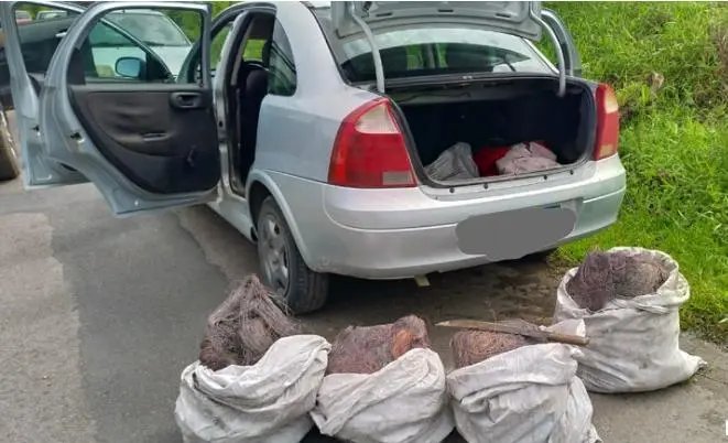 Pol&iacute;cia Civil prende suspeito de receptar carga de cobre