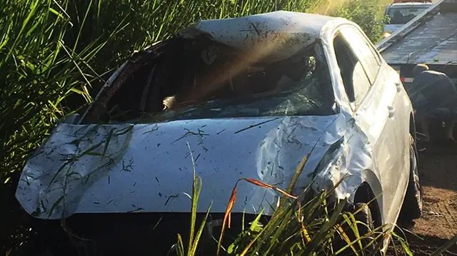 Ve&iacute;culo colide contra animais na SC-410 em S&atilde;o Jo&atilde;o Batista