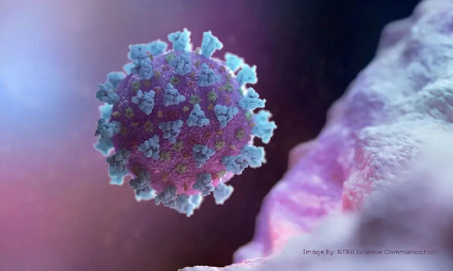 OMS convoca reuni&atilde;o sobre nova variante do coronav&iacute;rus