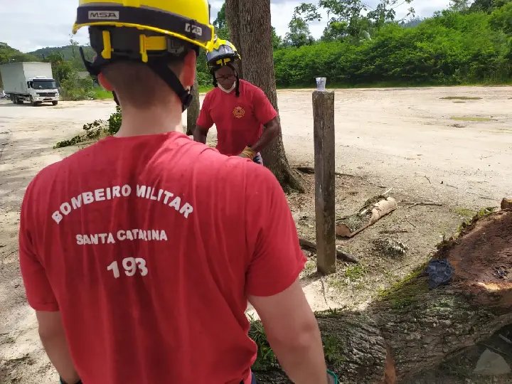 Bombeiros ainda retiram &aacute;rvores de ruas em Brusque
