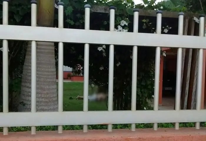 Engenheiro é assassinado com dois tiros no pátio de casa, na Praia Brava
