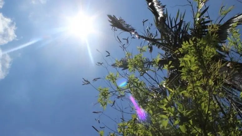 Semana será de altas temperaturas em SC