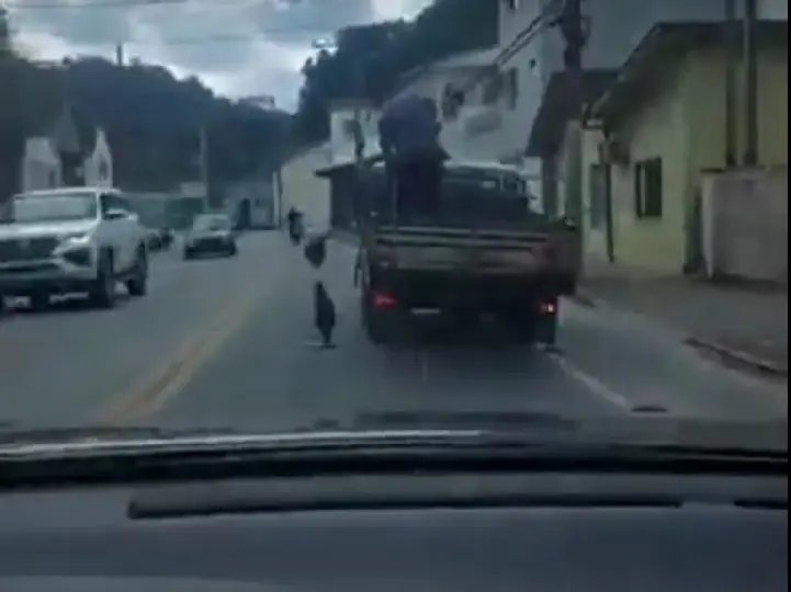(V&iacute;deo) Motoristas questionam opera&ccedil;&atilde;o tapa buracos realizada, em Brusque, e secret&aacute;rio explica
