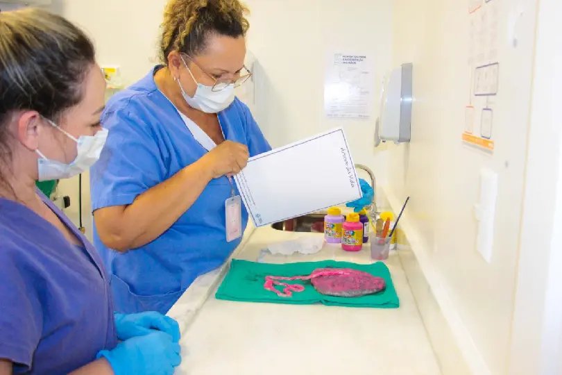 Mam&atilde;es ganham &lsquo;&Aacute;rvore da Vida&rsquo; no Hospital Azambuja