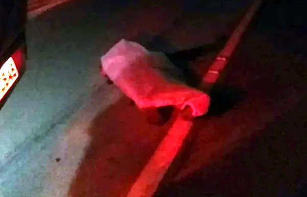 Motorista atropela e mata pedestre na rodovia SC-410