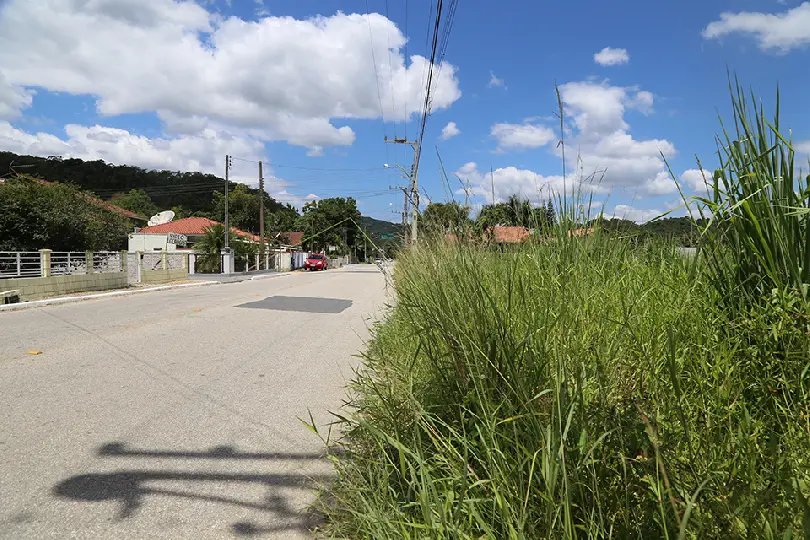 Limpeza de calçadas e margens de estradas é responsabilidade do proprietário