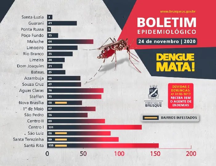 Brusque j&aacute; registrou 1.249 focos do mosquito Aedes aegypti
