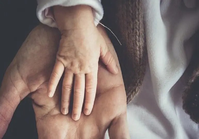 Casal responder&aacute; por ado&ccedil;&atilde;o ilegal em Rodeio