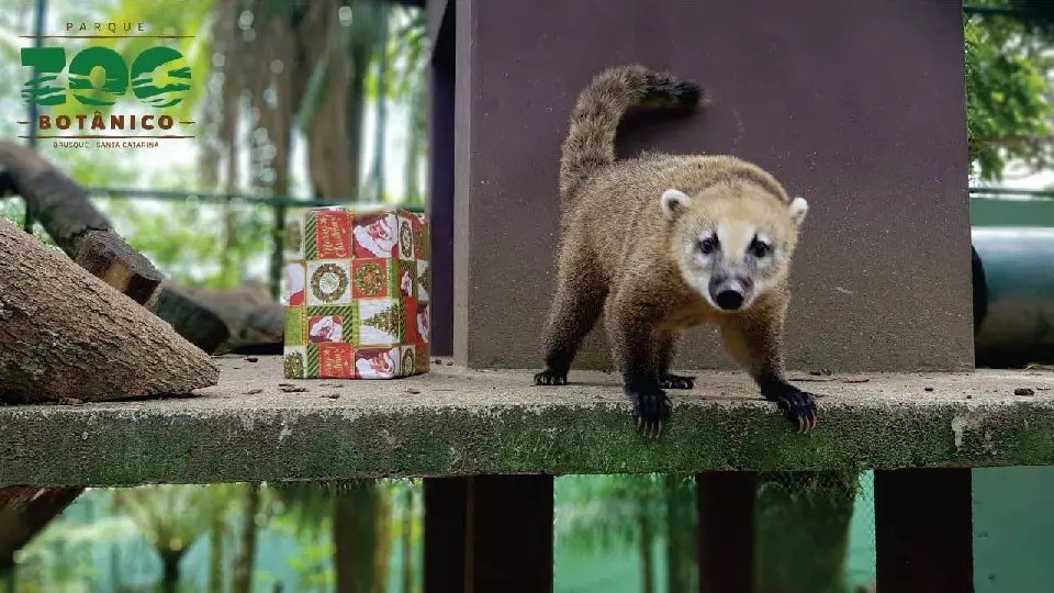 Zoobotânico de Brusque já recebeu 3500 visitantes 