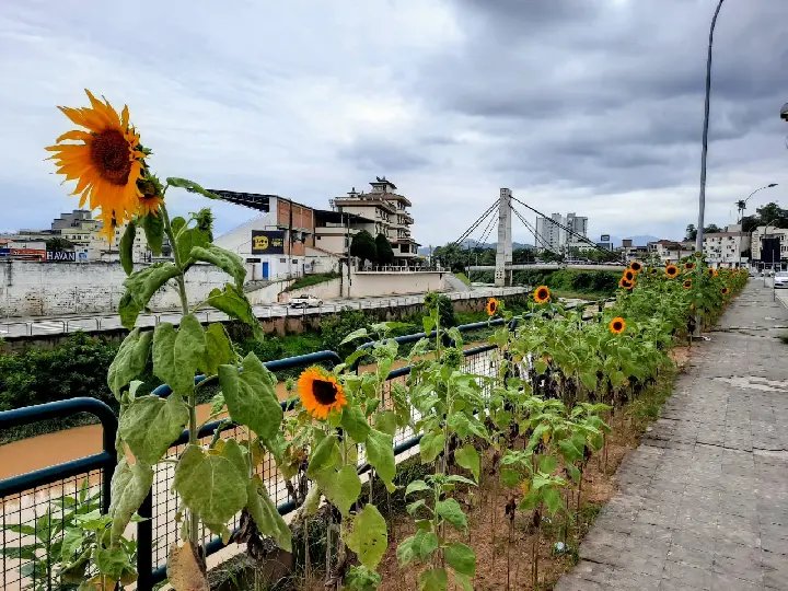 Brusque, uma cidade a cada dia mais sustent&aacute;vel