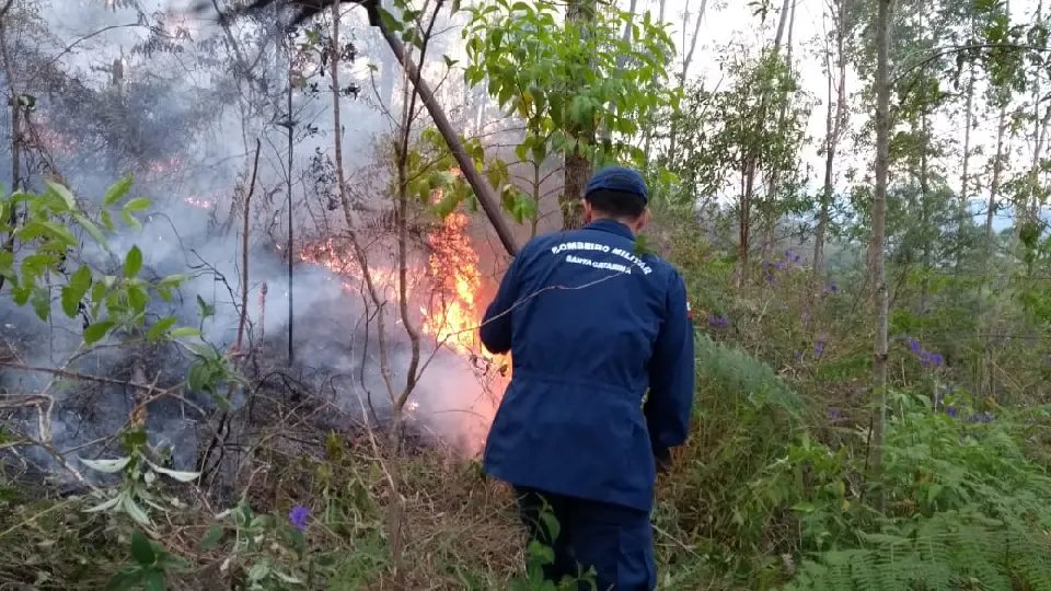 Incêndio é registrado em mata na cidade de Guabiruba