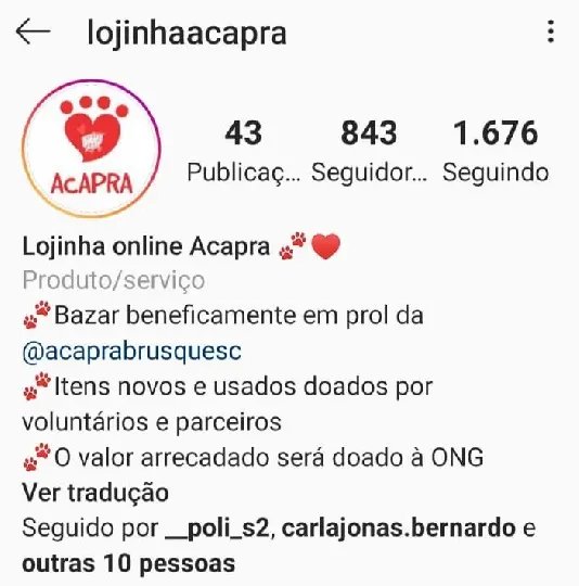 ONG cria loja virtual para arrecadar recursos