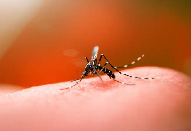 Secretaria de Sa&uacute;de faz alerta sobre o aumento de casos de dengue