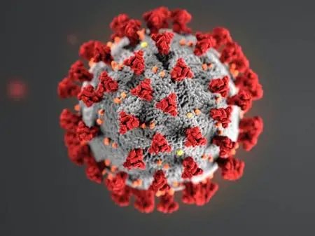 COVID-19: 12 novos casos da doen&ccedil;a foram registrados em Brusque