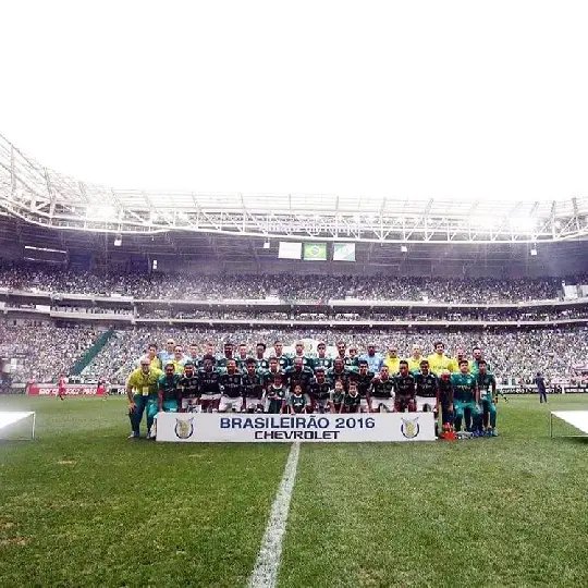 Palmeiras é campeão Brasileiro