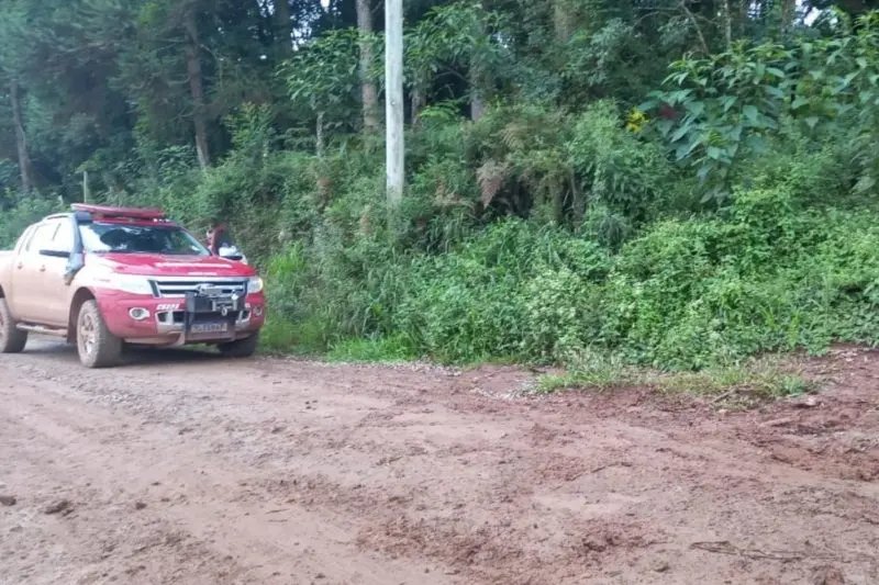 Idoso morre ap&oacute;s ataque de abelhas 