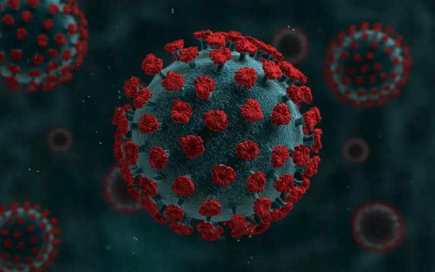 Brusque soma 19 novos casos de Coronav&iacute;rus nas &uacute;ltimas 24 horas