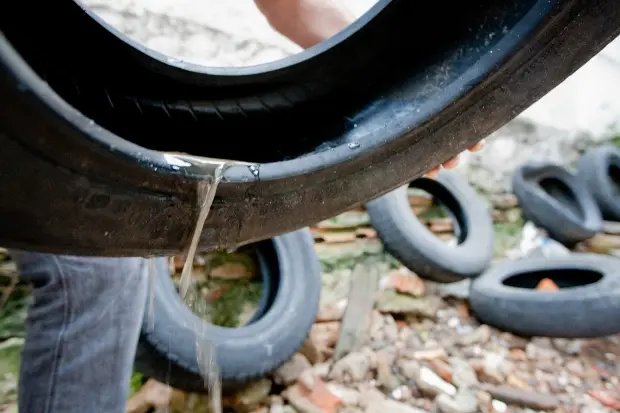 Brusque contabiliza 447 focos de dengue no ano