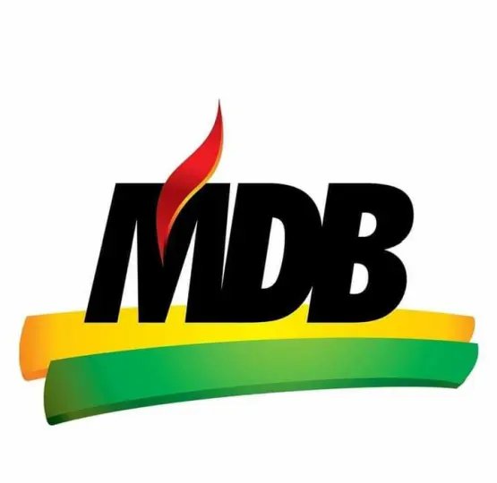 MDB vai lan&ccedil;ar 18 candidatos a vereadores em Brusque