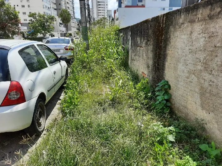 (V&iacute;deo) Comunidade reclama de mato sobre cal&ccedil;adas e Ibplan ressalta responsabilidade de propriet&aacute;rios 
