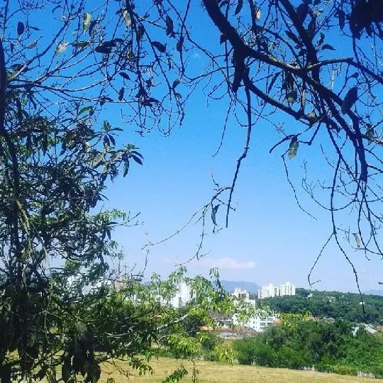 Sol permanece nesta Quinta-Feira