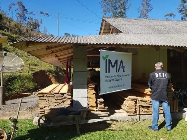 Opera&ccedil;&atilde;o conjunta combate extra&ccedil;&atilde;o ilegal de madeira no M&eacute;dio Vale do Itaja&iacute;
