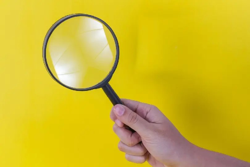 Observat&oacute;rio Social de Brusque recebe certifica&ccedil;&atilde;o nacional do Instituto Doar