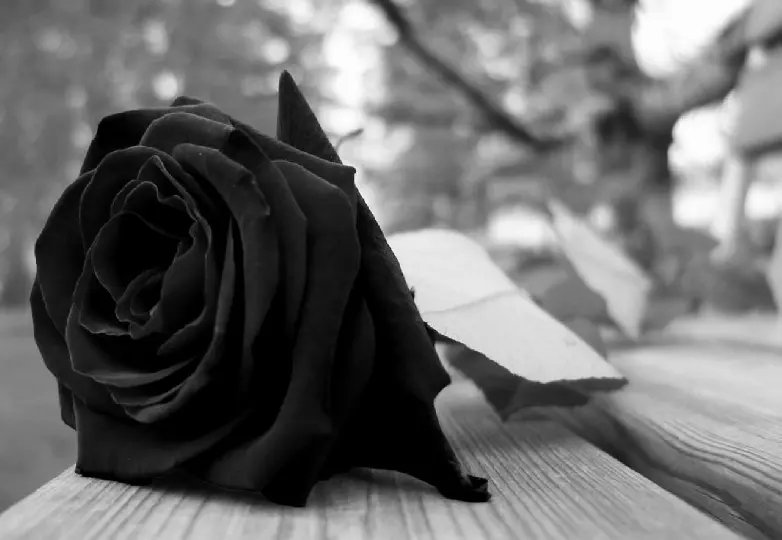 Menino de dez anos morre após sofrer acidente doméstico