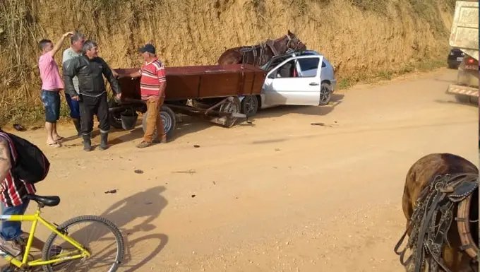 Cavalo provoca acidente e deixa quatro feridos