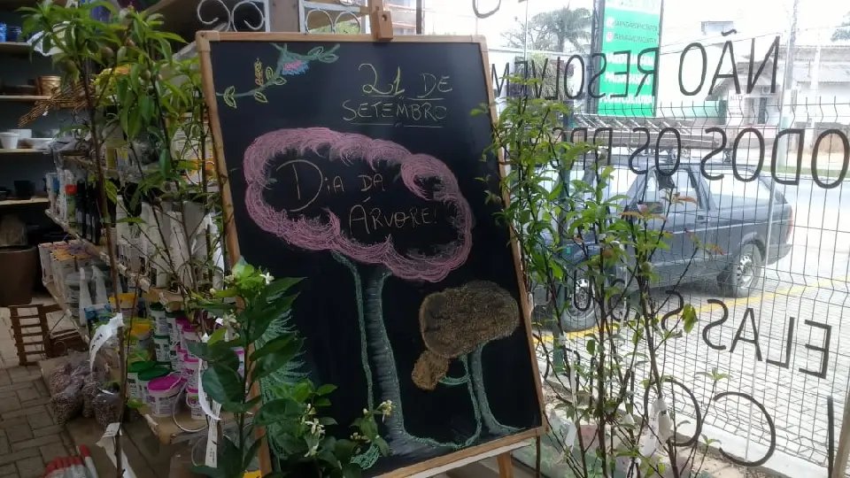 Barni Garden Center oferece opções para aproveitar a estação da primavera