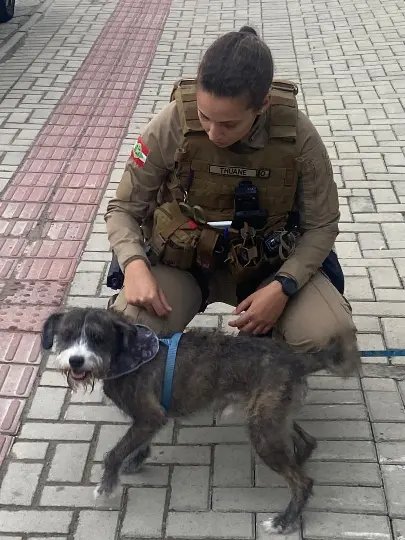 PM quebra vidro de carro para salvar c&atilde;o trancado em ve&iacute;culo, na Praia Brava