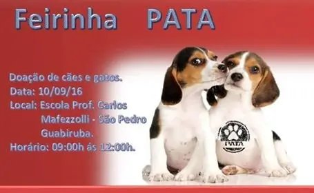 Feirinha da PATA