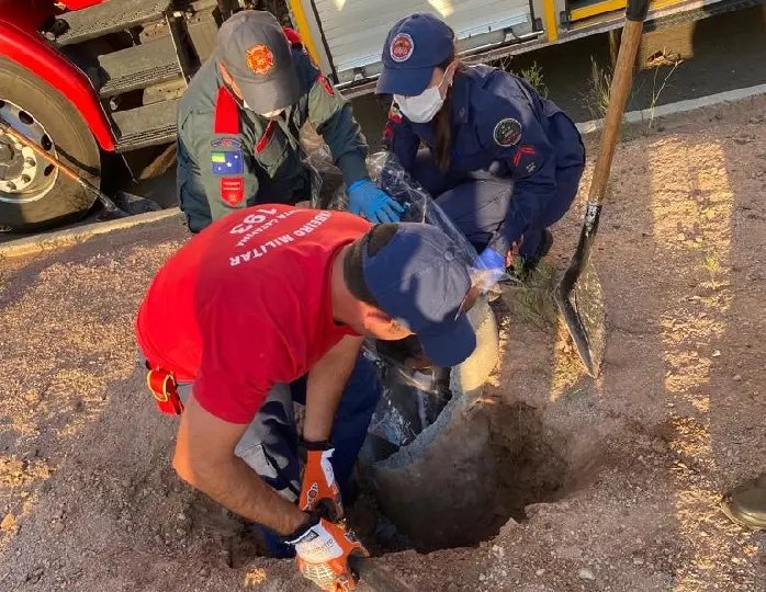 Menino de 8 anos acaba preso em tubula&ccedil;&atilde;o ap&oacute;s se esconder para fazer xixi. 