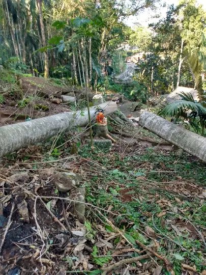 Acidente durante corte de &aacute;rvores deixa um morto e um ferido em Blumenau