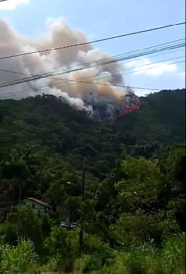 (V&iacute;deo) Inc&ecirc;ndio em vegeta&ccedil;&atilde;o &eacute; registrado no bairro Dom Joaquim
