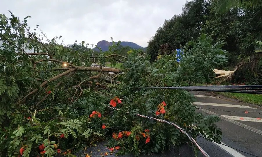 Santa Catarina volta a enfrentar chuvas, ventos e alagamentos 