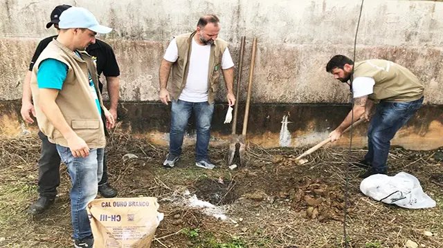 Endemias realiza ação de combate ao caramujo africano 