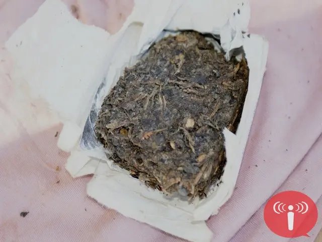 Maconha é encontrada com jovem de 14 anos