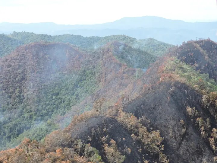 Inc&ecirc;ndio consome 65 hectares do parque em Guabiruba