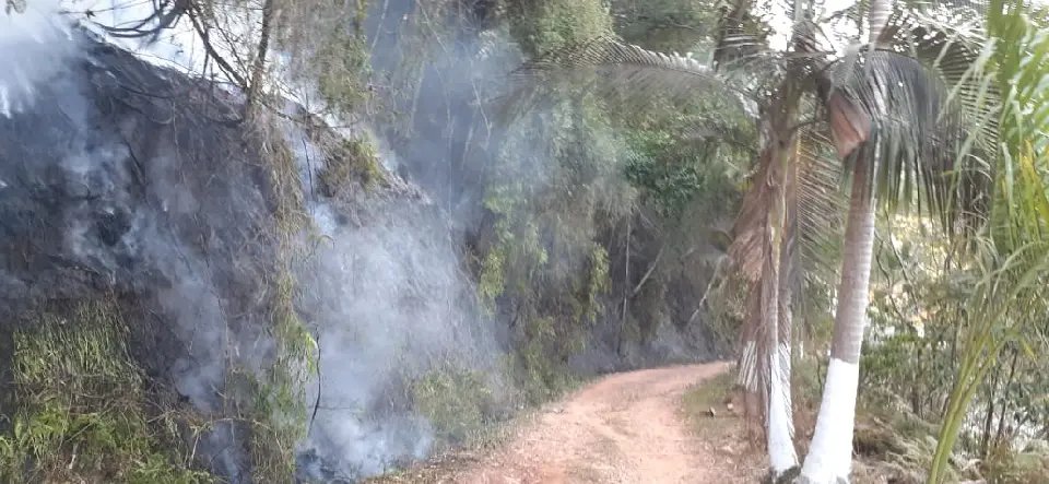 Fogo destroi cinco mil metros quadrados de vegeta&ccedil;&atilde;o