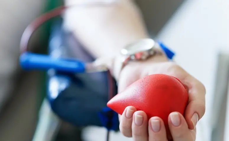Guabirubenses interessados em doar sangue podem se inscrever