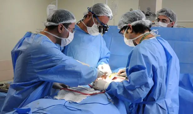 Primeiro transplante faz 50 anos