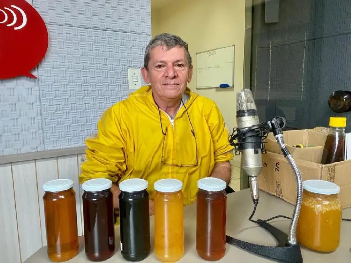 &ldquo;20 picadas de abelha matam um cavalo&rdquo;, afirma apicultor