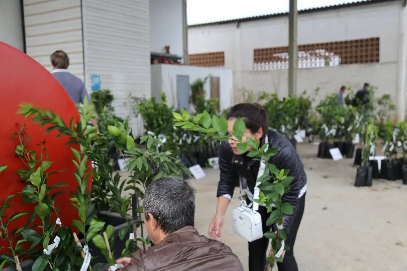 Feirão de mudas movimenta ADERG e atrai compradores da região