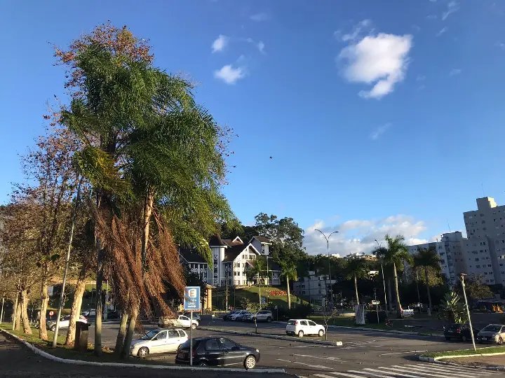 Defesa Civil alerta para ventos intensos nesta quinta-feira